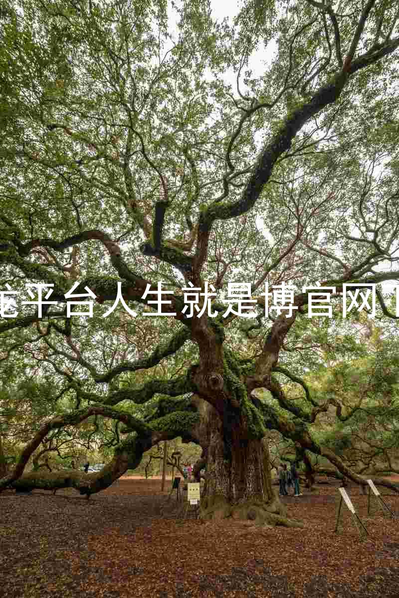 尊龙平台人生就是博官网下载